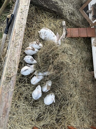 248df44b-23e6-489c-8b05-29d45677dbc4