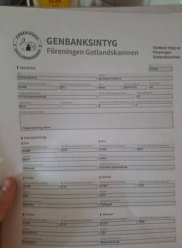 FB_IMG_1757926328441